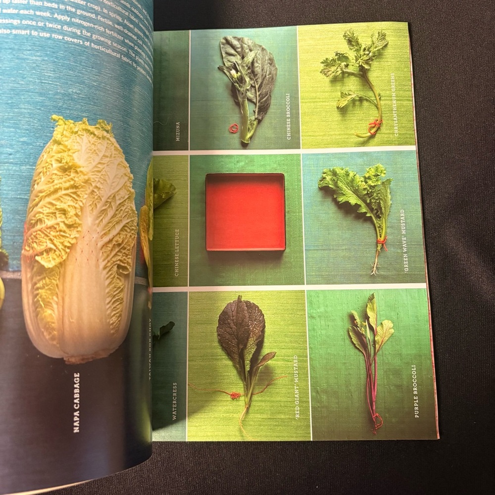 Martha Stewart Living March 2004 – “Into the Garden” Special Issue - Picture 4 of 10